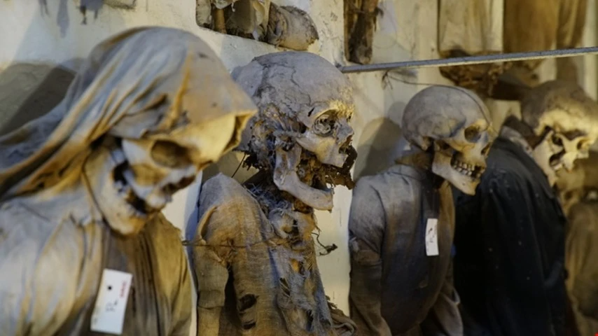Bike Tour to the Capuchin Catacombs: Palermo through faith, mystery and local flavor