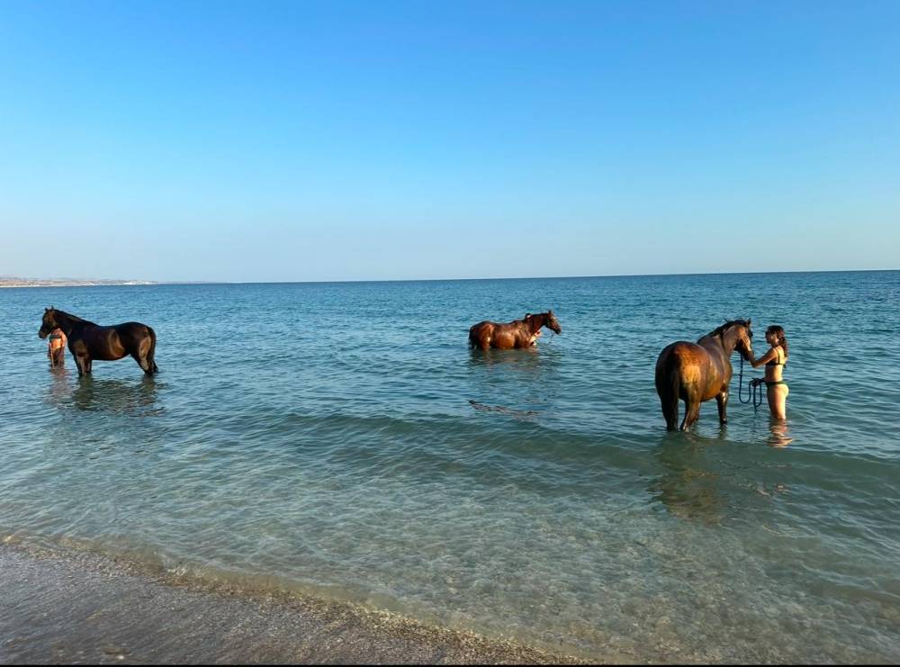 Horseback Riding with the Natural Method in Sicily: A Unique Adventure from Sciacca to the Beach